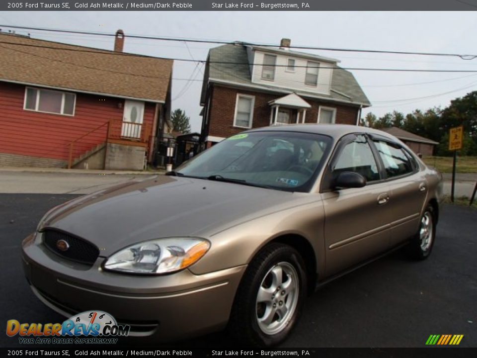 2005 Ford Taurus SE Gold Ash Metallic / Medium/Dark Pebble Photo #1