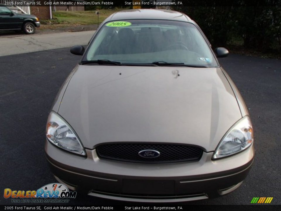 2005 Ford Taurus SE Gold Ash Metallic / Medium/Dark Pebble Photo #2