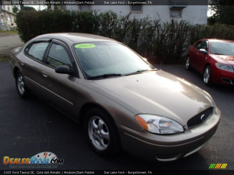 2005 Ford Taurus SE Gold Ash Metallic / Medium/Dark Pebble Photo #3