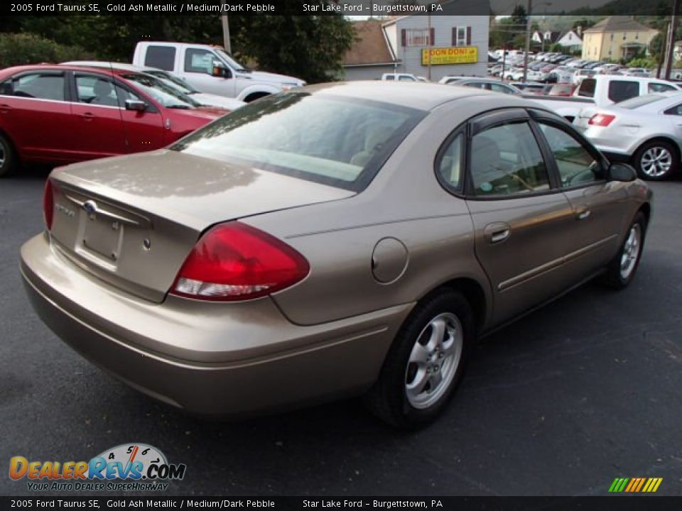 2005 Ford Taurus SE Gold Ash Metallic / Medium/Dark Pebble Photo #4