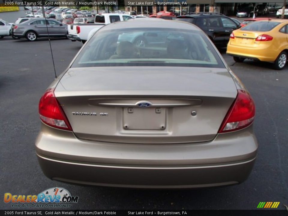 2005 Ford Taurus SE Gold Ash Metallic / Medium/Dark Pebble Photo #5