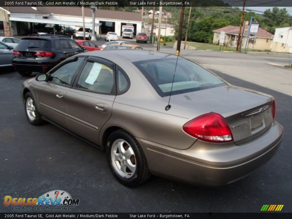 2005 Ford Taurus SE Gold Ash Metallic / Medium/Dark Pebble Photo #6