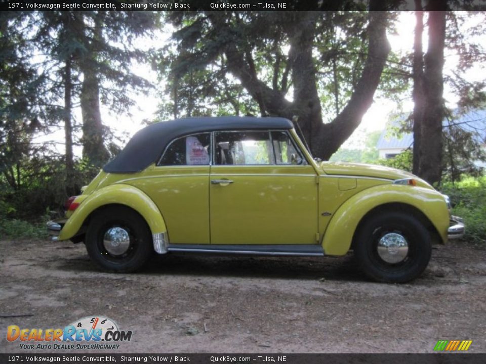 1971 Volkswagen Beetle Convertible Shantung Yellow / Black Photo #1