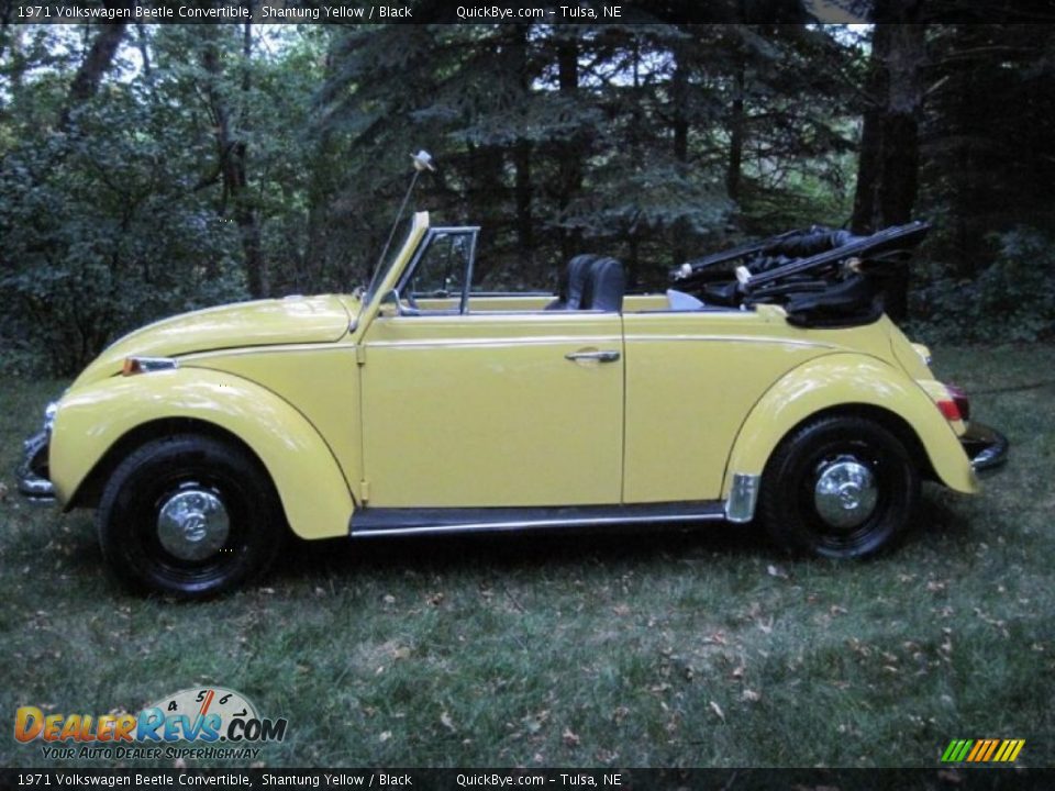 1971 Volkswagen Beetle Convertible Shantung Yellow / Black Photo #2
