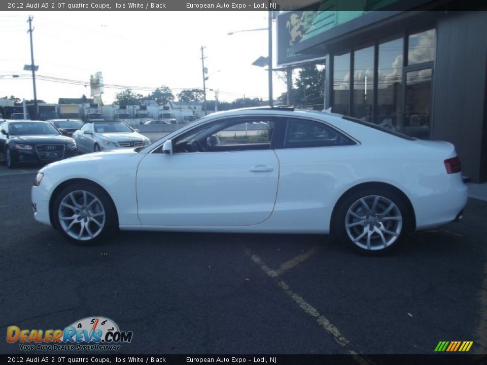 2012 Audi A5 2.0T quattro Coupe Ibis White / Black Photo #6