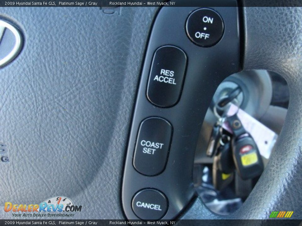 2009 Hyundai Santa Fe GLS Platinum Sage / Gray Photo #14