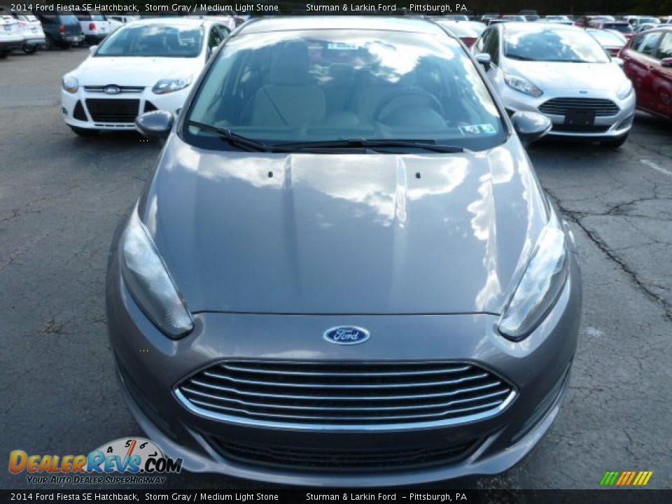 2014 Ford Fiesta SE Hatchback Storm Gray / Medium Light Stone Photo #6