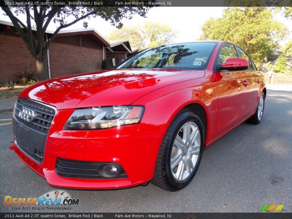 2011 Audi A4 2.0T quattro Sedan Brilliant Red / Black Photo #1