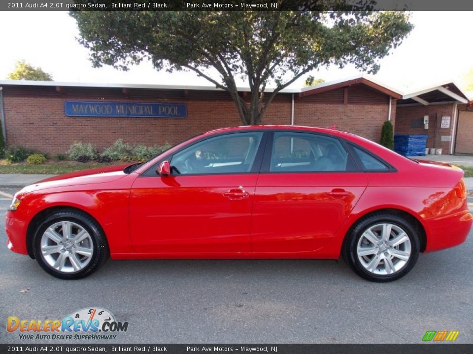 2011 Audi A4 2.0T quattro Sedan Brilliant Red / Black Photo #2