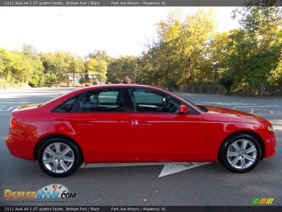 2011 Audi A4 2.0T quattro Sedan Brilliant Red / Black Photo #6
