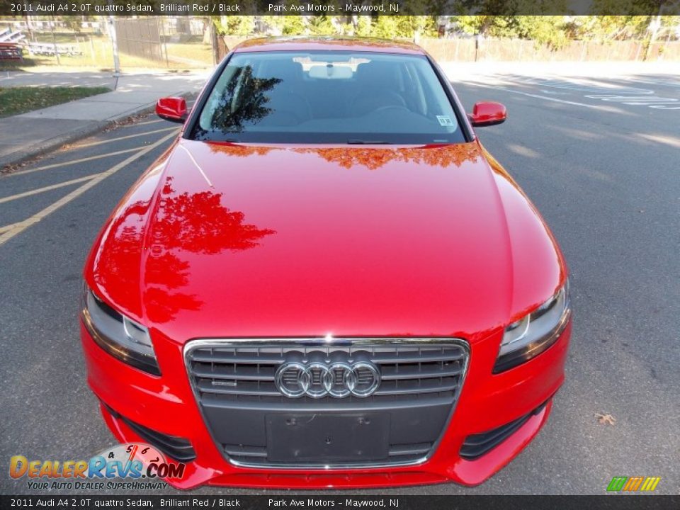 2011 Audi A4 2.0T quattro Sedan Brilliant Red / Black Photo #9