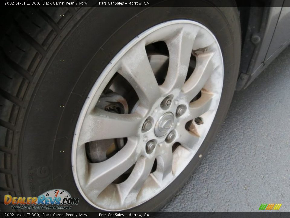 2002 Lexus ES 300 Black Garnet Pearl / Ivory Photo #5