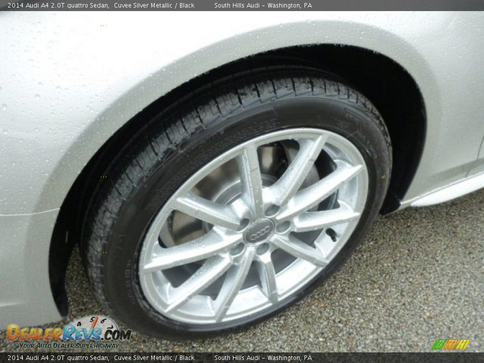 2014 Audi A4 2.0T quattro Sedan Cuvee Silver Metallic / Black Photo #7