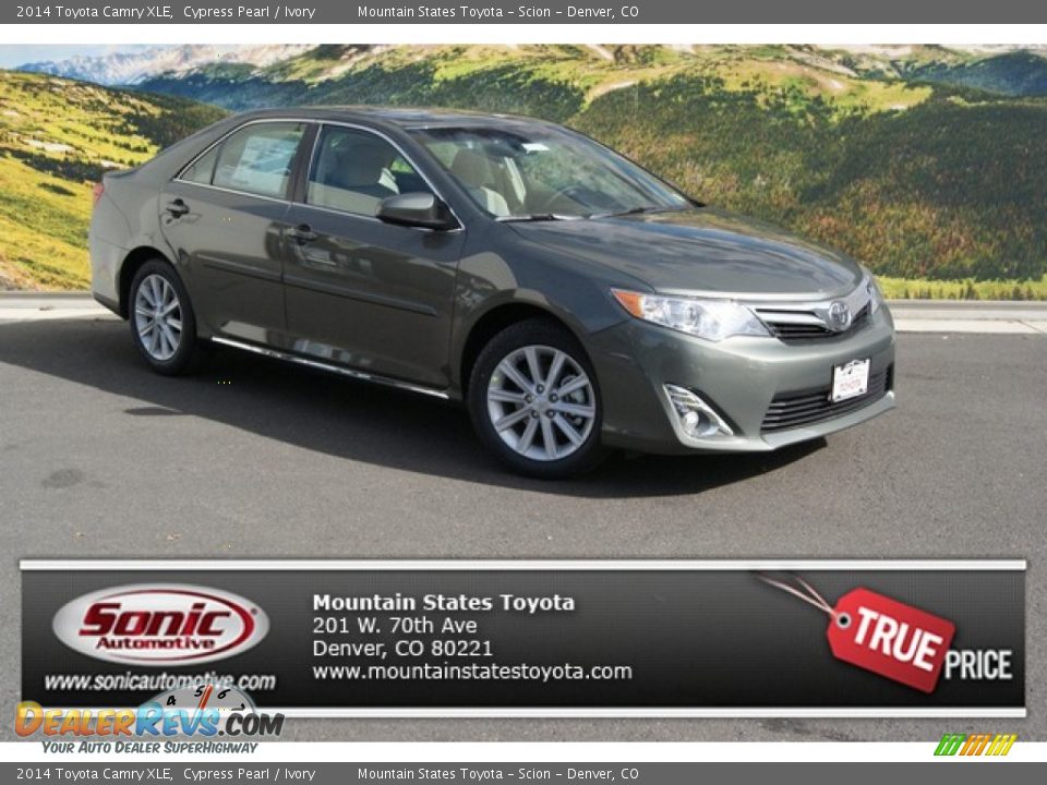 2014 Toyota Camry XLE Cypress Pearl / Ivory Photo #1