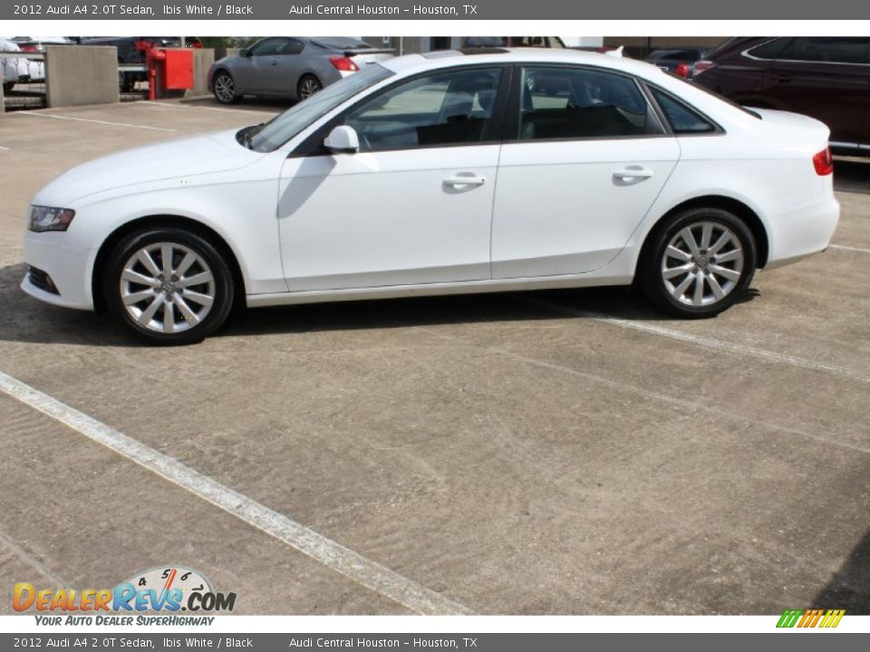 2012 Audi A4 2.0T Sedan Ibis White / Black Photo #5