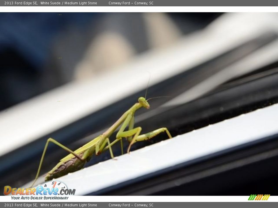 2013 Ford Edge SE White Suede / Medium Light Stone Photo #10