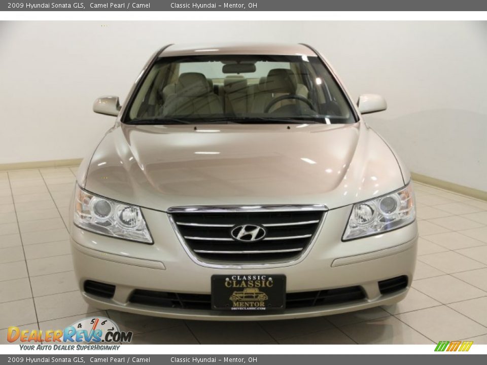 2009 Hyundai Sonata GLS Camel Pearl / Camel Photo #2