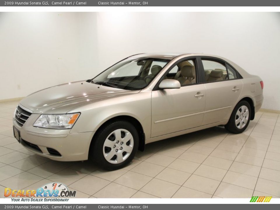 2009 Hyundai Sonata GLS Camel Pearl / Camel Photo #3