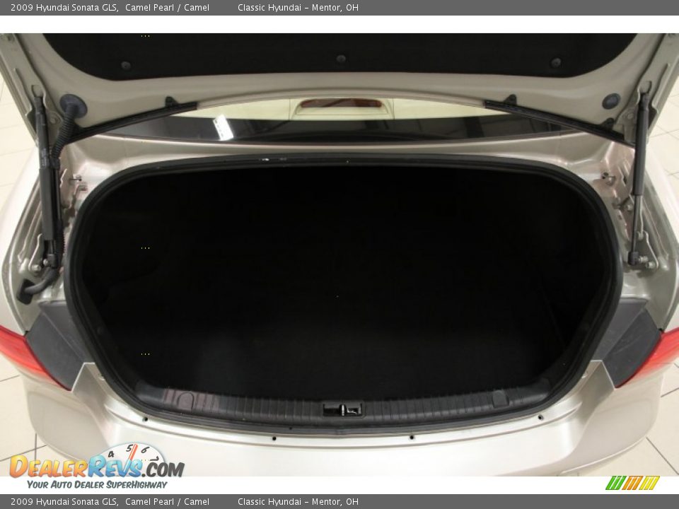 2009 Hyundai Sonata GLS Camel Pearl / Camel Photo #13