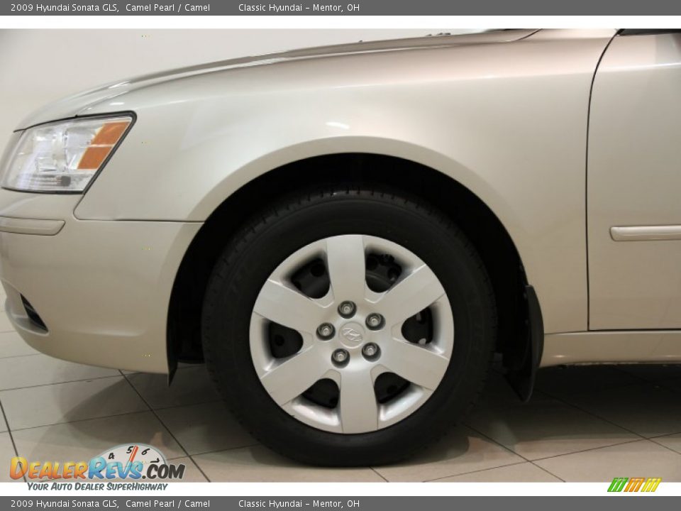 2009 Hyundai Sonata GLS Camel Pearl / Camel Photo #15