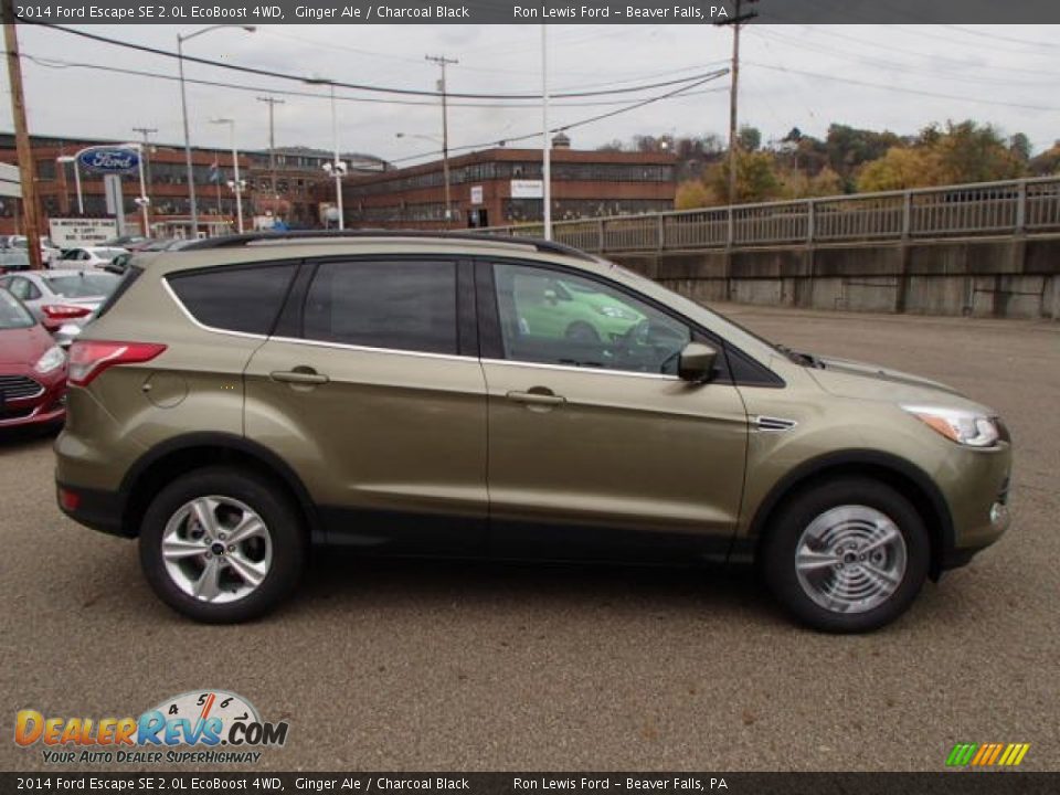 2014 Ford Escape SE 2.0L EcoBoost 4WD Ginger Ale / Charcoal Black Photo #1