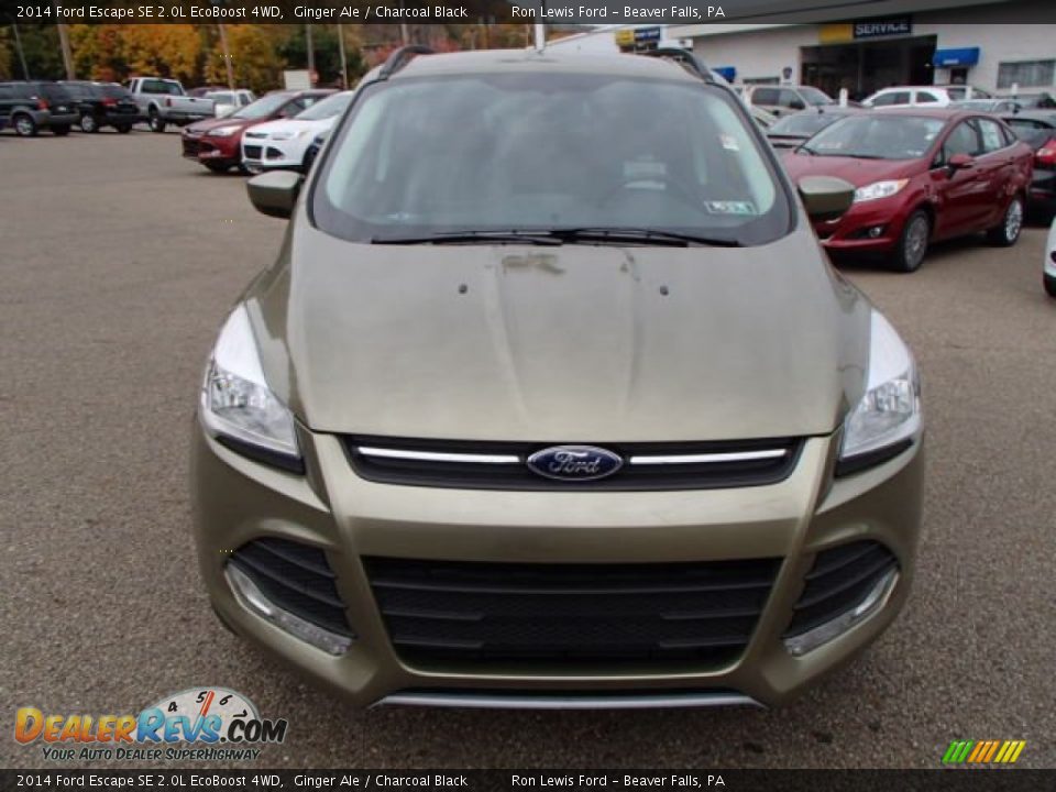 2014 Ford Escape SE 2.0L EcoBoost 4WD Ginger Ale / Charcoal Black Photo #3