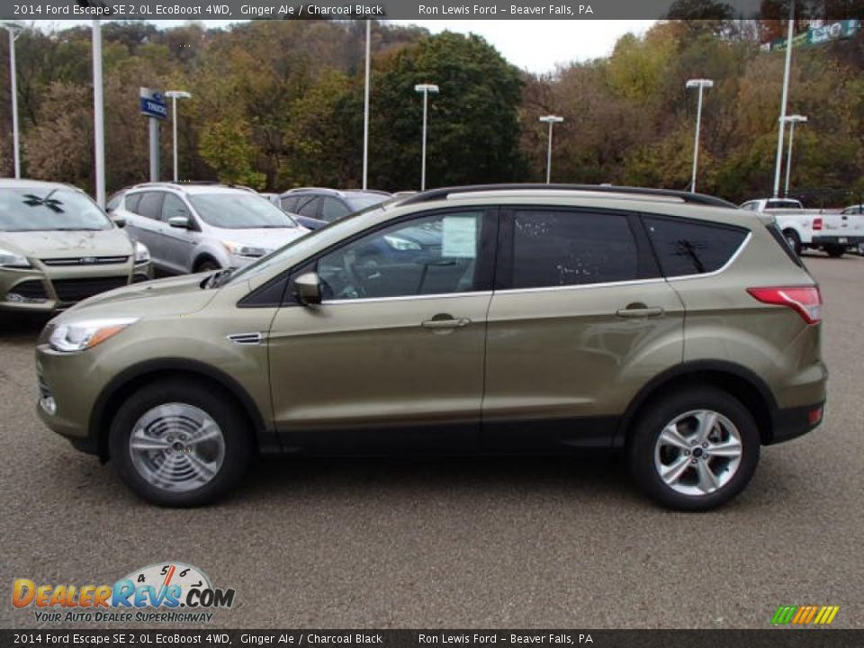 2014 Ford Escape SE 2.0L EcoBoost 4WD Ginger Ale / Charcoal Black Photo #5