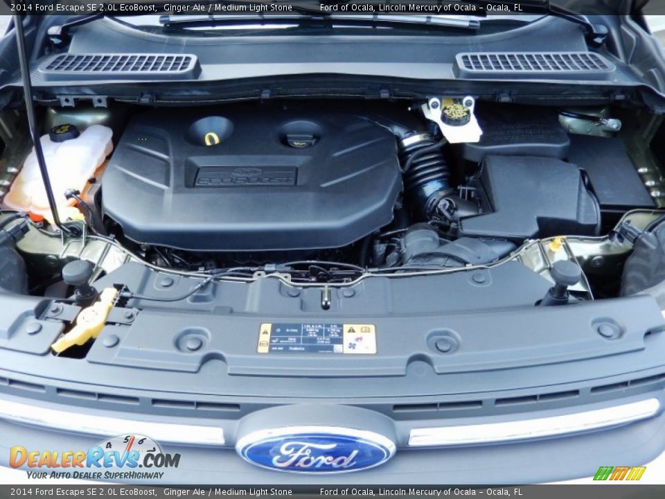 2014 Ford Escape SE 2.0L EcoBoost Ginger Ale / Medium Light Stone Photo #11