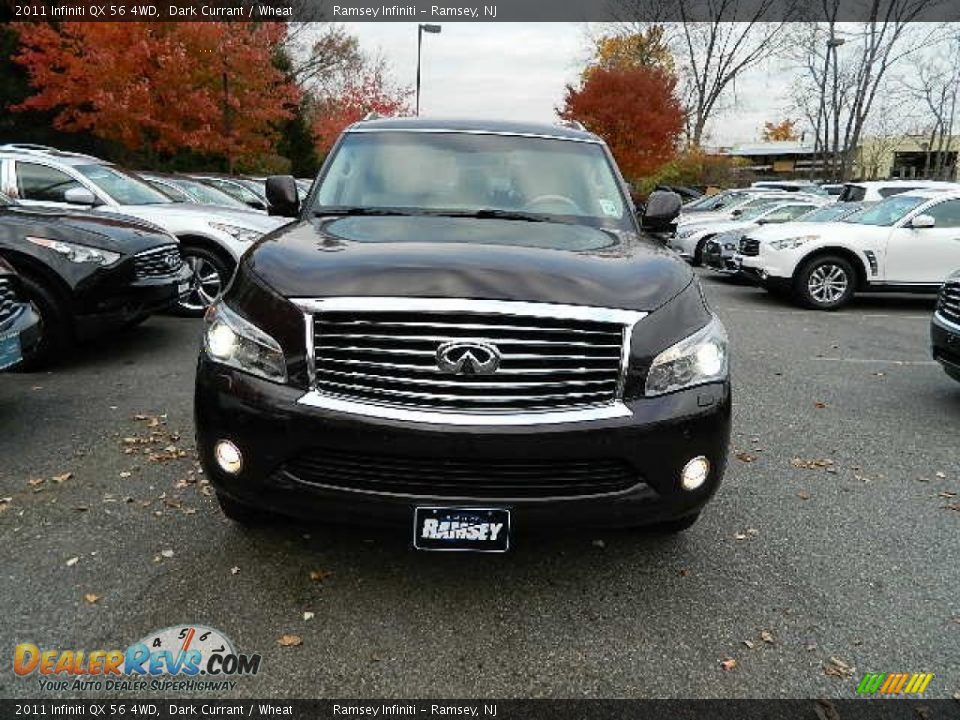 2011 Infiniti QX 56 4WD Dark Currant / Wheat Photo #1