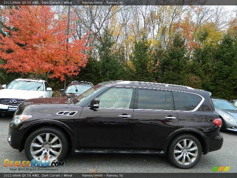 2011 Infiniti QX 56 4WD Dark Currant / Wheat Photo #2