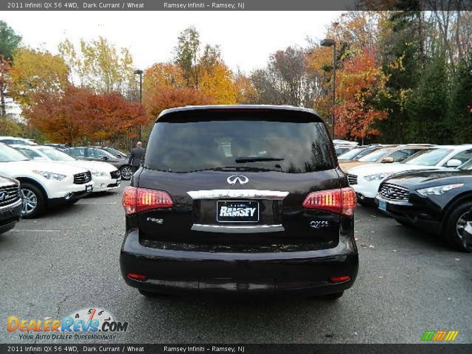 2011 Infiniti QX 56 4WD Dark Currant / Wheat Photo #3