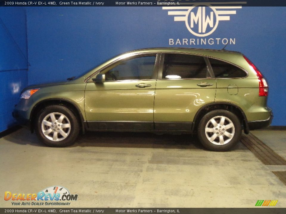 2009 Honda CR-V EX-L 4WD Green Tea Metallic / Ivory Photo #4