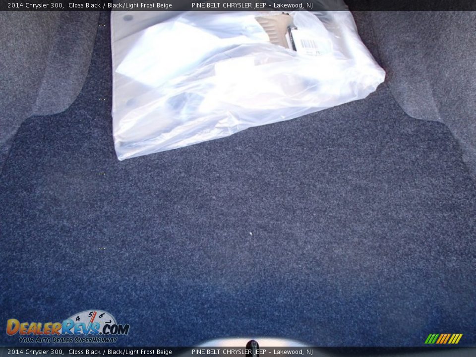 2014 Chrysler 300 Gloss Black / Black/Light Frost Beige Photo #8