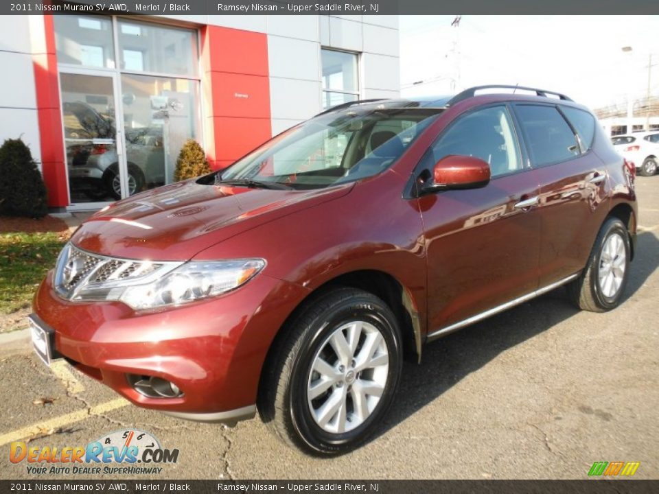 2011 Nissan Murano SV AWD Merlot / Black Photo #1
