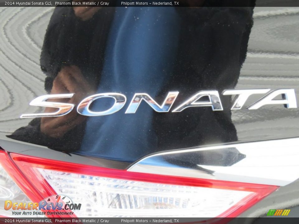 2014 Hyundai Sonata GLS Phantom Black Metallic / Gray Photo #12