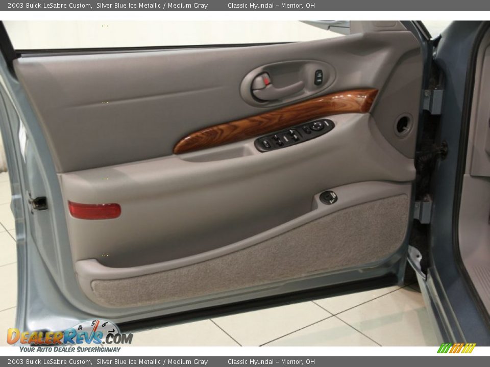 Door Panel of 2003 Buick LeSabre Custom Photo #4