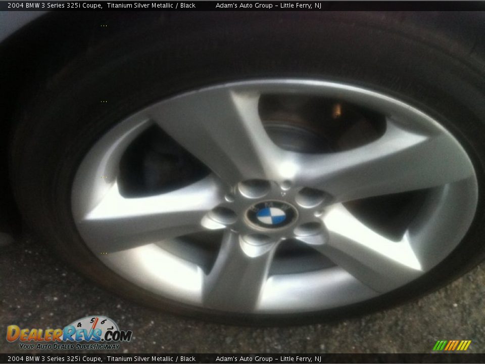 2004 BMW 3 Series 325i Coupe Titanium Silver Metallic / Black Photo #11