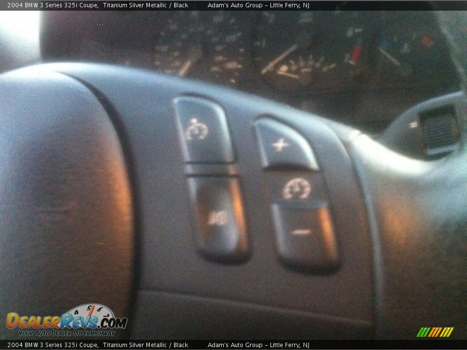 2004 BMW 3 Series 325i Coupe Titanium Silver Metallic / Black Photo #15
