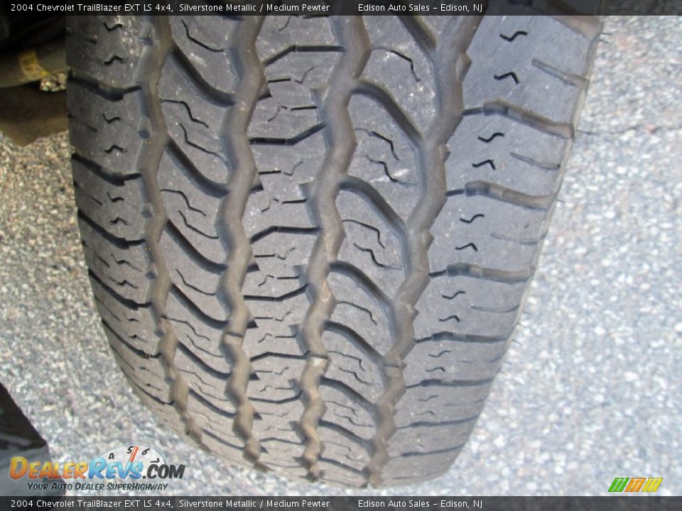 2004 Chevrolet TrailBlazer EXT LS 4x4 Silverstone Metallic / Medium Pewter Photo #33