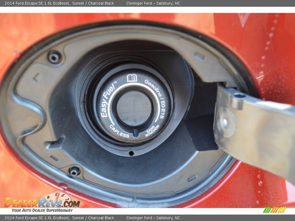 2014 Ford Escape SE 1.6L EcoBoost Sunset / Charcoal Black Photo #11