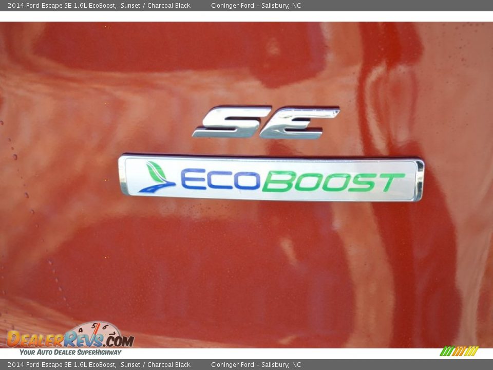 2014 Ford Escape SE 1.6L EcoBoost Sunset / Charcoal Black Photo #12