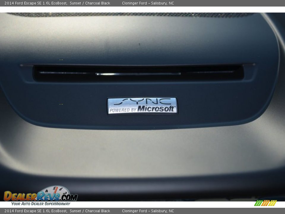 2014 Ford Escape SE 1.6L EcoBoost Sunset / Charcoal Black Photo #18