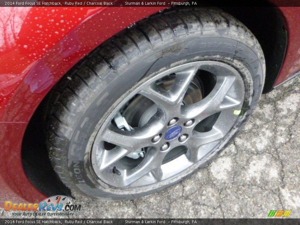 2014 Ford Focus SE Hatchback Ruby Red / Charcoal Black Photo #7