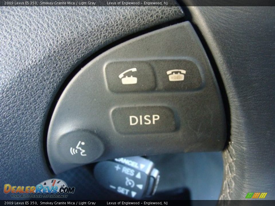 2009 Lexus ES 350 Smokey Granite Mica / Light Gray Photo #15