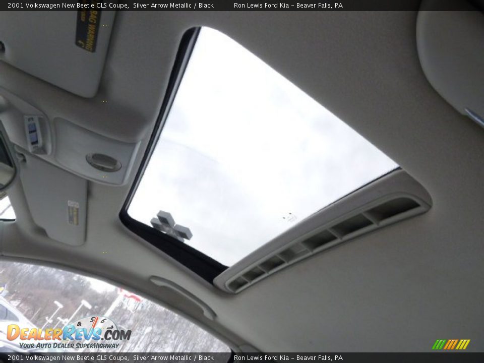 2001 Volkswagen New Beetle GLS Coupe Silver Arrow Metallic / Black Photo #14