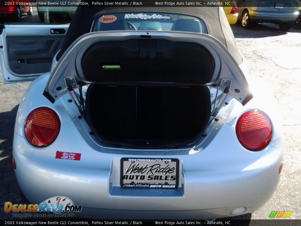 2003 Volkswagen New Beetle GLS Convertible Reflex Silver Metallic / Black Photo #7