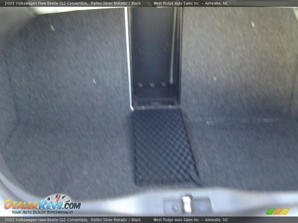 2003 Volkswagen New Beetle GLS Convertible Reflex Silver Metallic / Black Photo #12