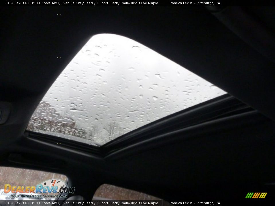 2014 Lexus RX 350 F Sport AWD Nebula Gray Pearl / F Sport Black/Ebony Bird's Eye Maple Photo #14