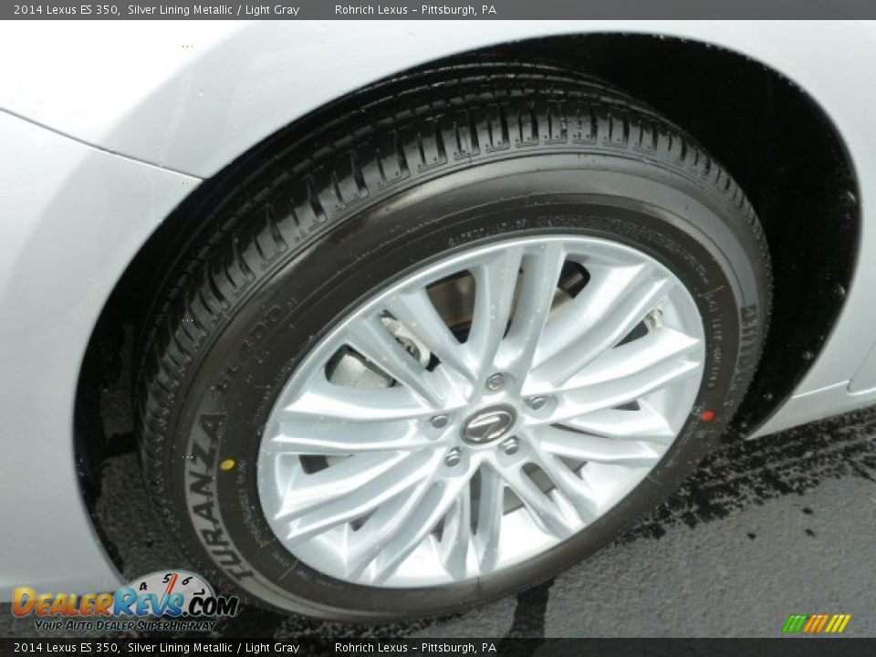2014 Lexus ES 350 Silver Lining Metallic / Light Gray Photo #9