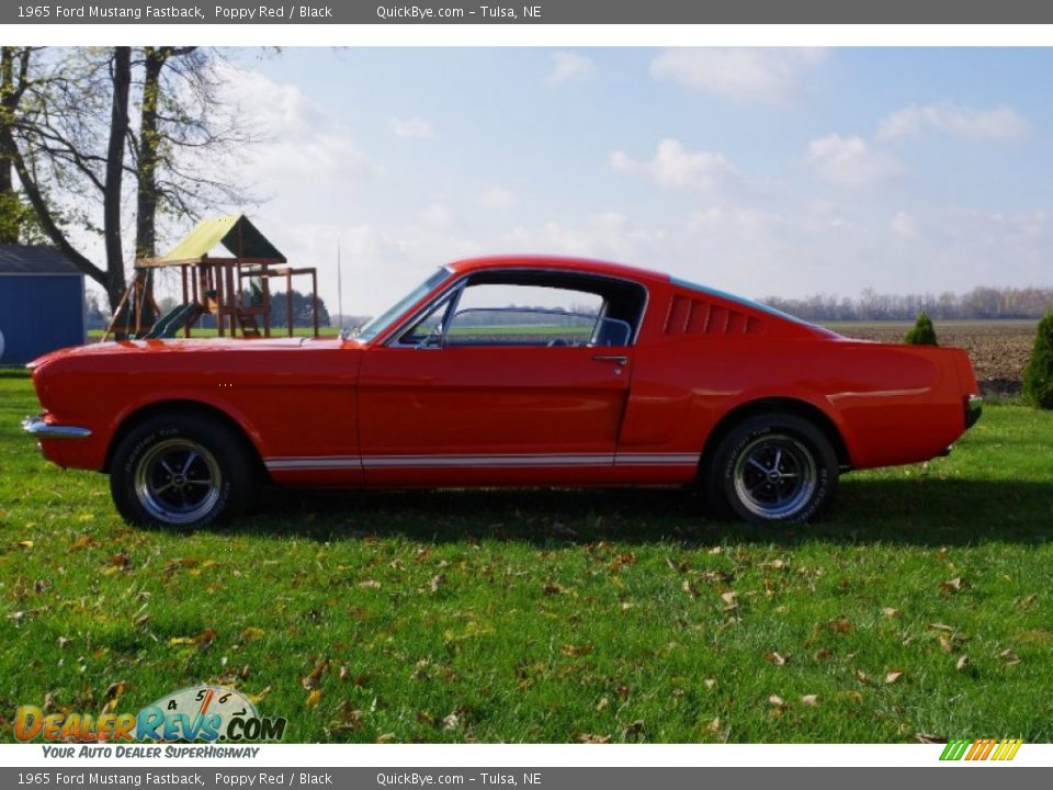 1965 Ford Mustang Fastback Poppy Red / Black Photo #1
